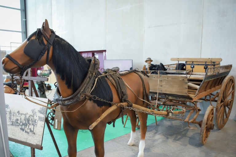 Design sans titre (5)